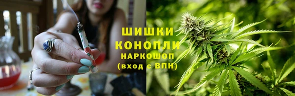 бошки Бородино