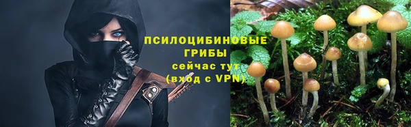 бошки Бородино