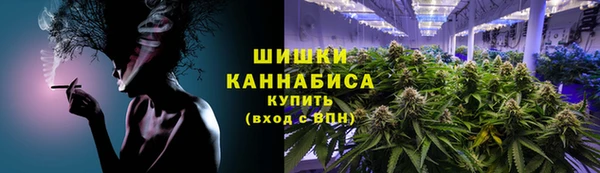 бошки Бородино