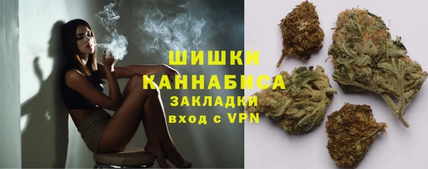 бошки Бородино