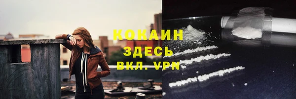 прущие грибы Бронницы