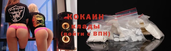бошки Бородино