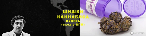 бошки Бородино
