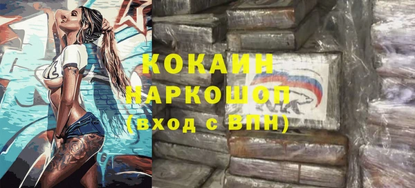 прущие грибы Бронницы