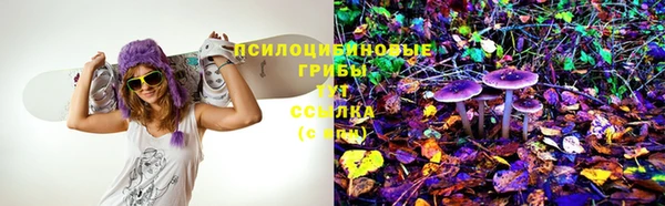 бошки Бородино