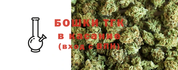 прущие грибы Бронницы