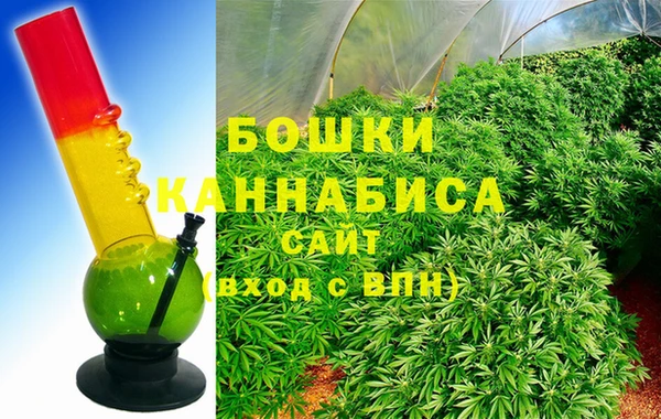 бошки Бородино