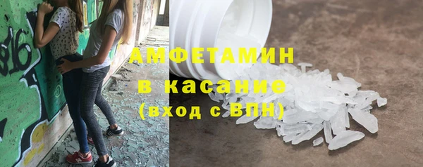 прущие грибы Бронницы
