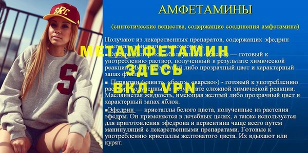 прущие грибы Бронницы