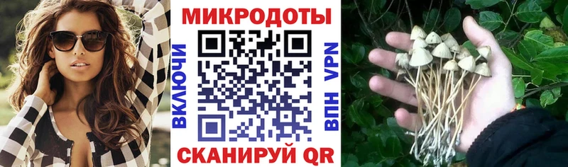 Псилоцибиновые грибы MAGIC MUSHROOMS  Нижний Новгород 