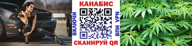 Шишки марихуана марихуана Нижний Новгород